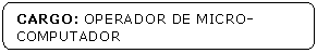 Retngulo de cantos arredondados: CARGO: OPERADOR DE MICRO-COMPUTADOR